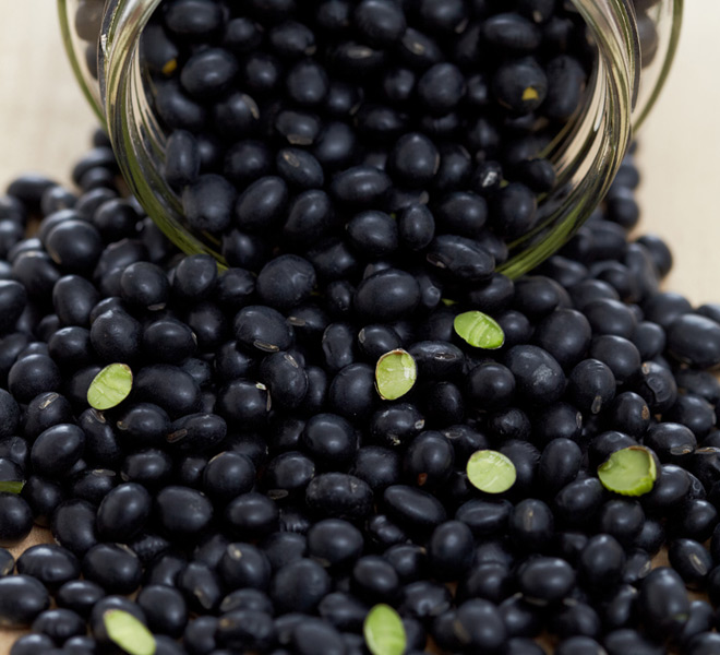 638519954884270000 1