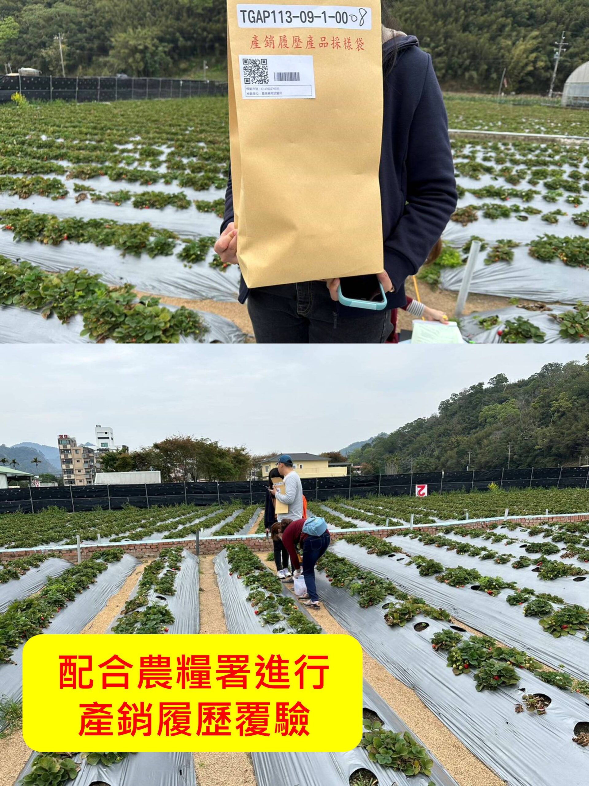 投影片3 23 scaled