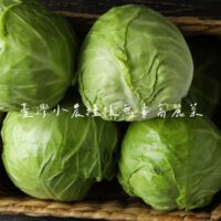 投影片2 1