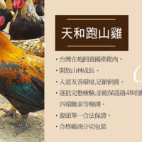 雞肉介紹