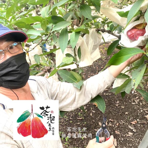 投影片7 5