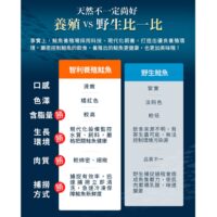 投影片15