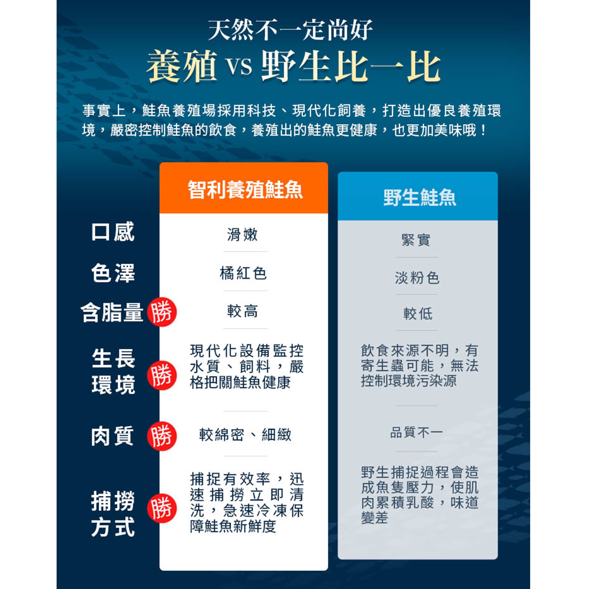 投影片15