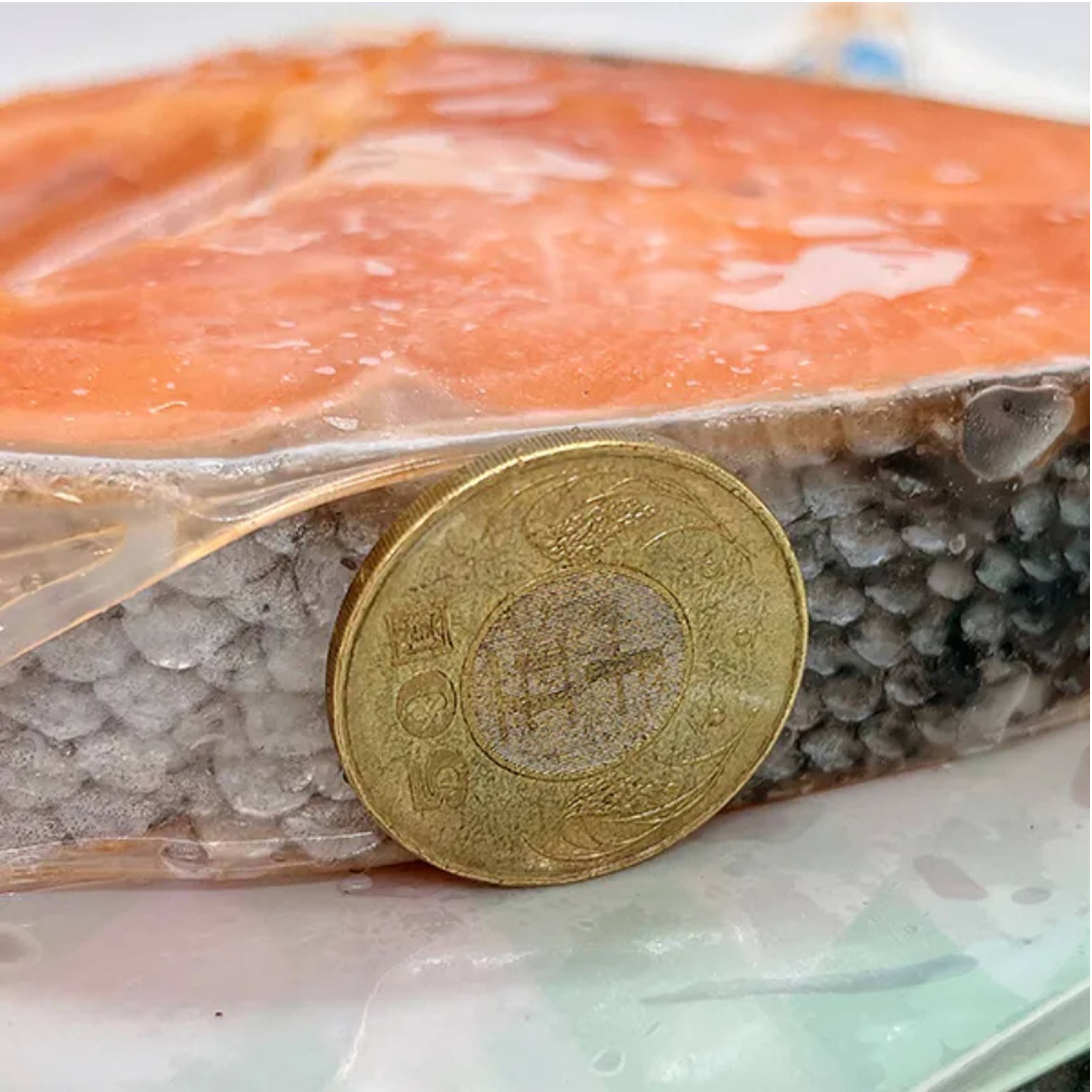 投影片3 1