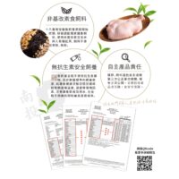 投影片3 1